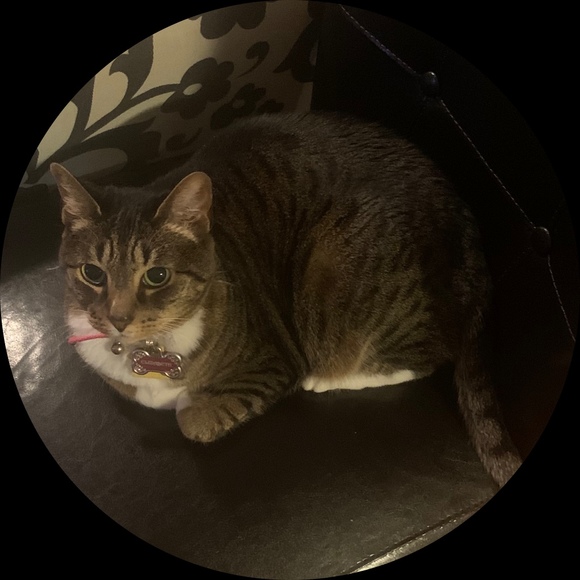 etthecat